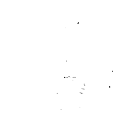 Ferenc Nasztanovics japanese sign